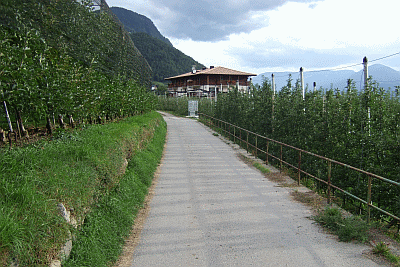Zufahrtsstraße zum Feldhof
