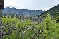 Ausblick auf Dorf Tirol und Meran