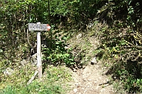 nach rund 1,2 km, gerechnet ab dem Ausgangspunkt, führt der 34a in den Wald